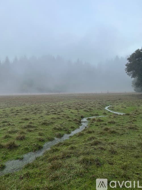 Branscomb House: Wilderness Lodge Road