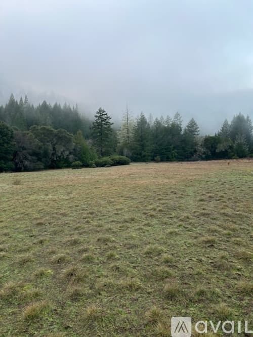 Branscomb House: Wilderness Lodge Road