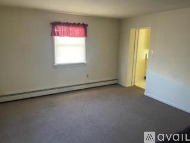 Nescopeck Apartment: 313 Broad St