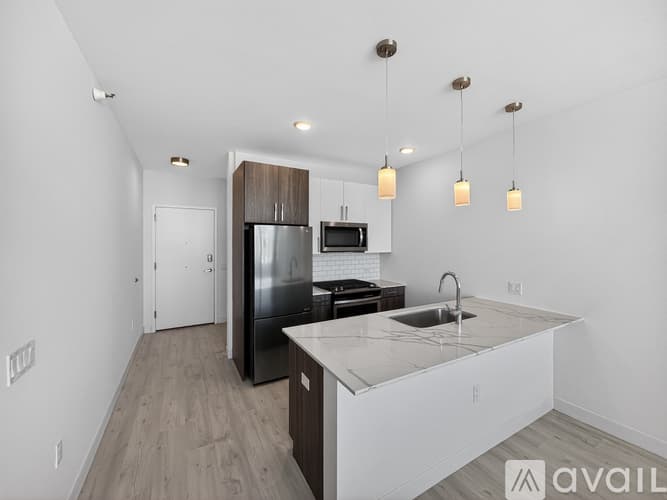Chicago Apartment: 800 S Michigan Ave