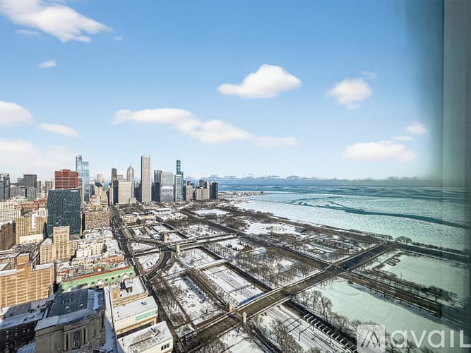 Chicago Apartment: 800 S Michigan Ave