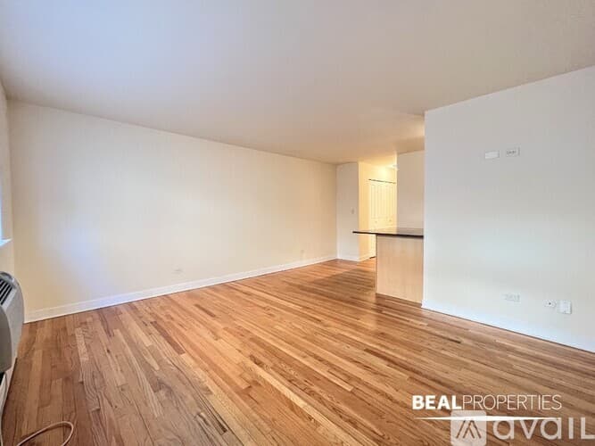 Chicago Apartment: 625 W Wrightwood Ave