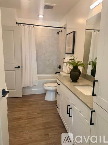 Tampa Apartment: 1703 N Florida Ave
