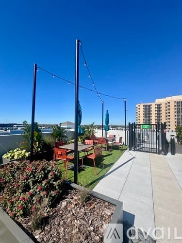 Tampa Apartment: 1703 N Florida Ave
