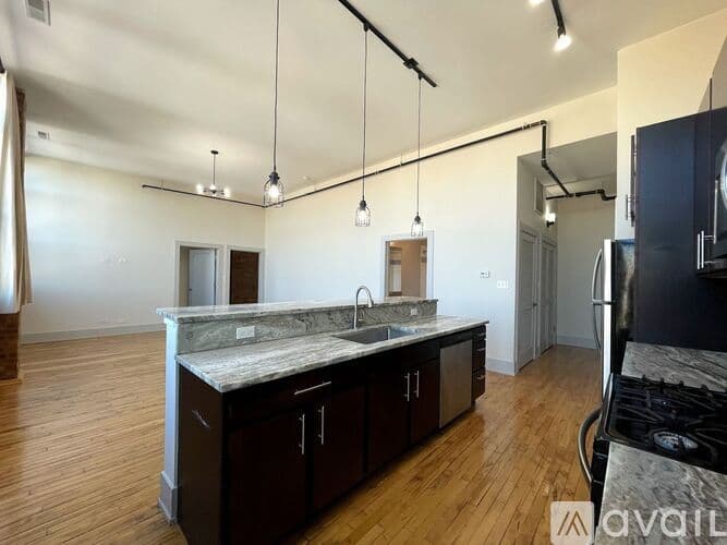 Chicago Apartment: 1432 W 21st St