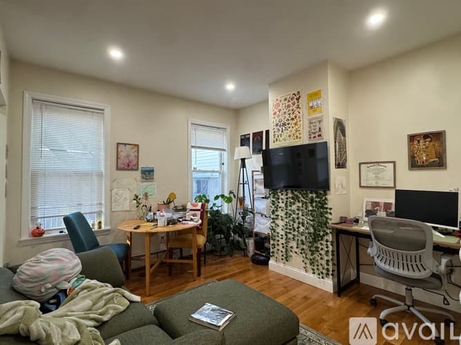 Brookline Apartment: 47 Cameron St