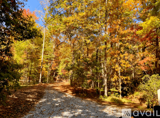 Clarkesville House: 3103 GA 197