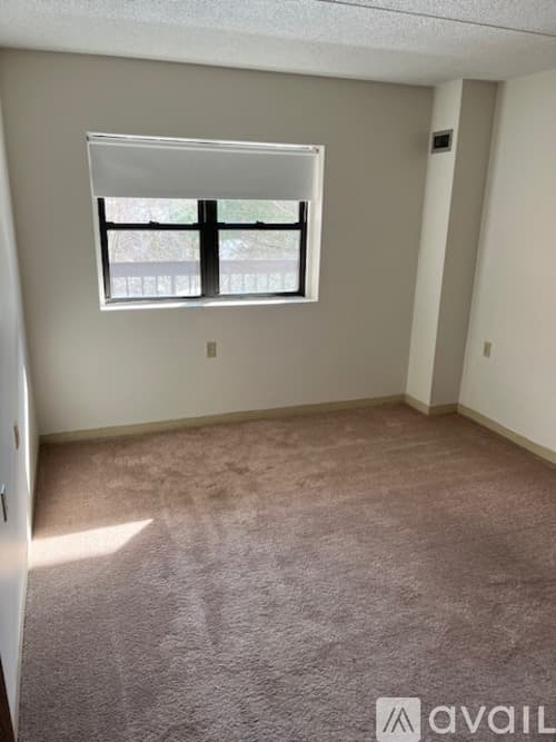 Wellesley Apartment: 4 Cedar Street