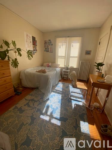 Amherst Apartment: 69 South Pleasant Street