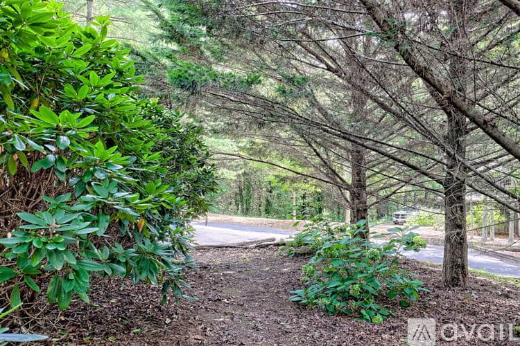 Clayton House: 32 Hill Camp Ln