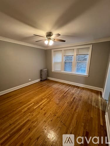 Chicago Apartment: 654 E 81st St