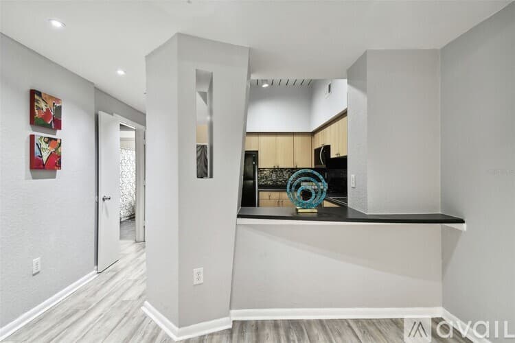 Tampa Apartment: 2402 W Azeele St