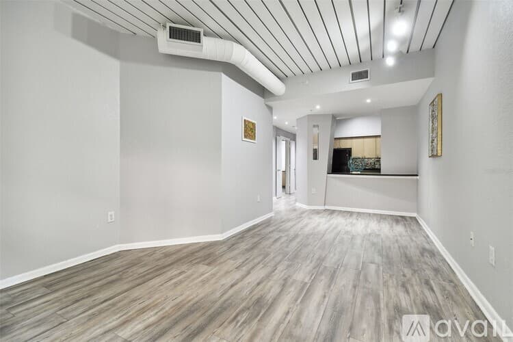 Tampa Apartment: 2402 W Azeele St
