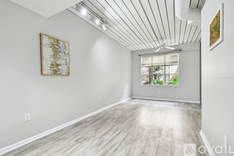 Tampa Apartment: 2402 W Azeele St
