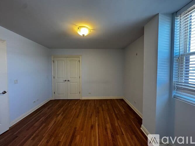 Chicago Apartment: 1334 W Morse Ave