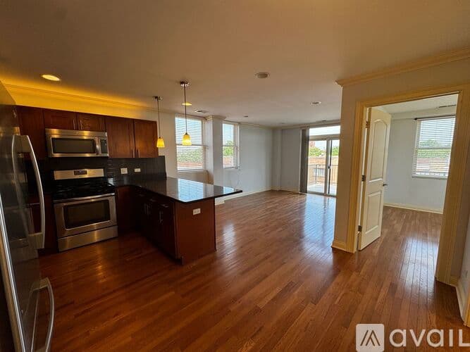 Chicago Apartment: 1334 W Morse Ave