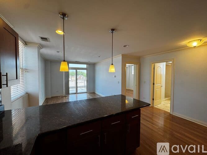 Chicago Apartment: 1334 W Morse Ave