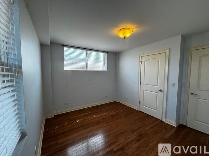 Chicago Apartment: 1334 W Morse Ave