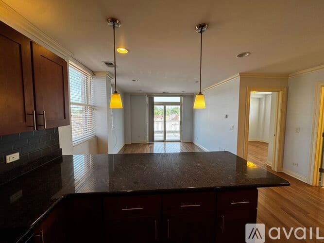 Chicago Apartment: 1334 W Morse Ave