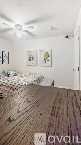 Tampa Apartment: 8506 North Brooks Street