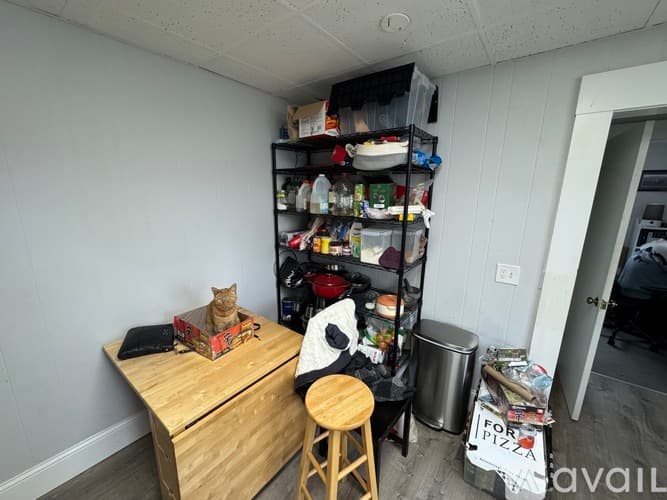 Somerville Apartment: 11 Burnham St