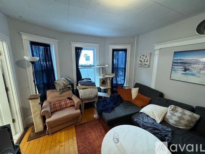 Somerville Apartment: 11 Burnham St
