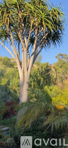 Santa Barbara Apartment: 1122 Palomino Road