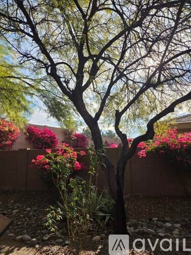 Anthem House: 41419 North Fairgreen Way