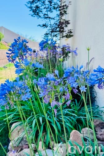 Menifee House: 25026 Ganymede Way