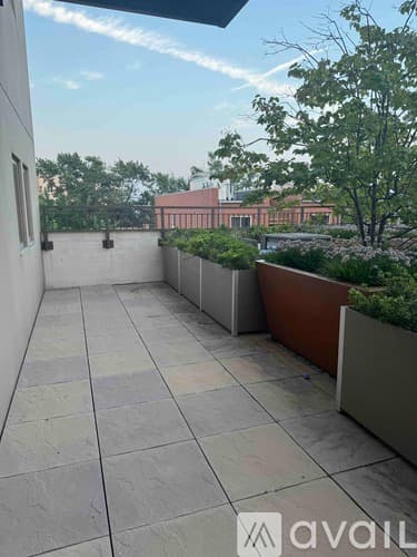 Chicago Apartment: 1323 W Morse Ave
