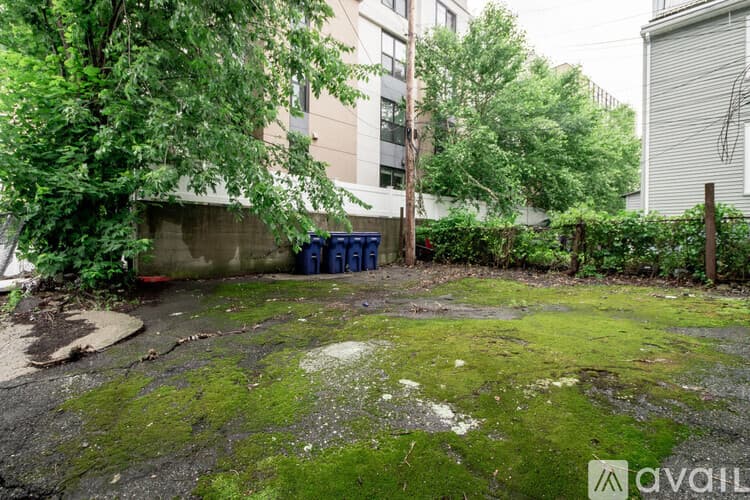 Melrose Apartment: 23 25 W Wyoming Ave