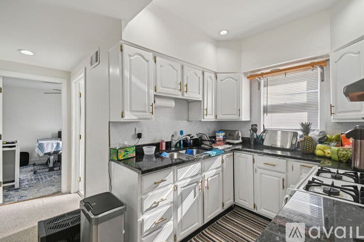 Chicago Apartment: 5017 N Meade Ave