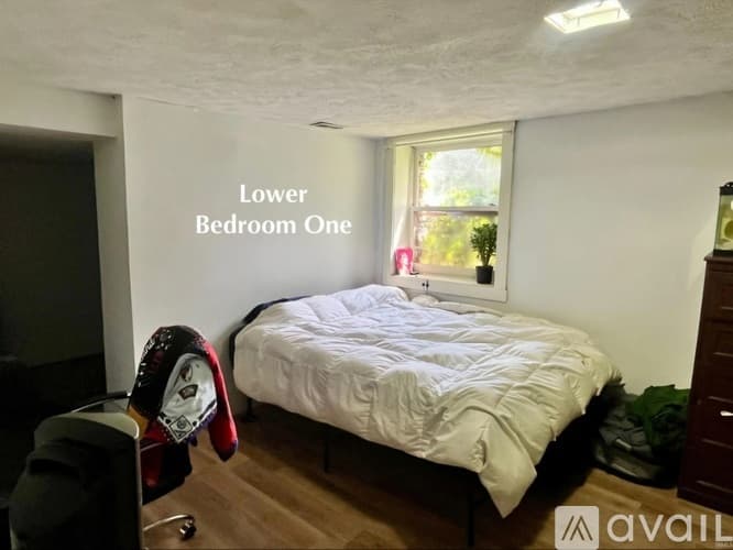 Lafayette Apartment: 715 North St