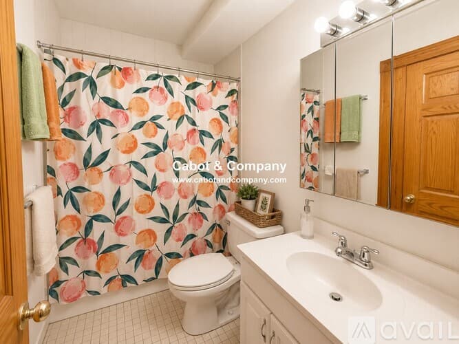 Boston Apartment: 2 Mead St