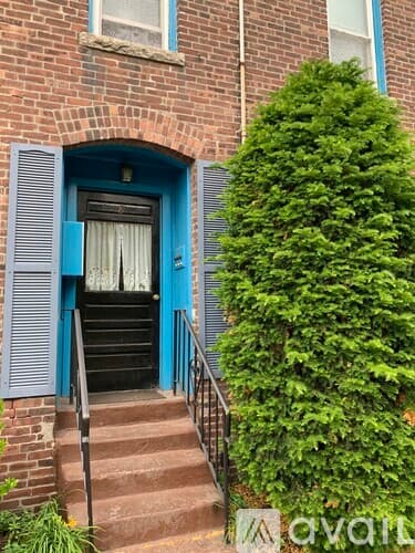 Boston Apartment: 8 Mead St