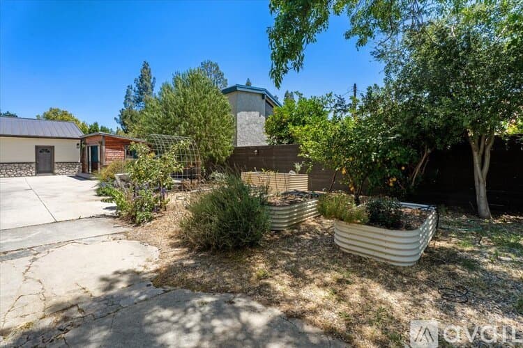 Los Angeles House: Collins St