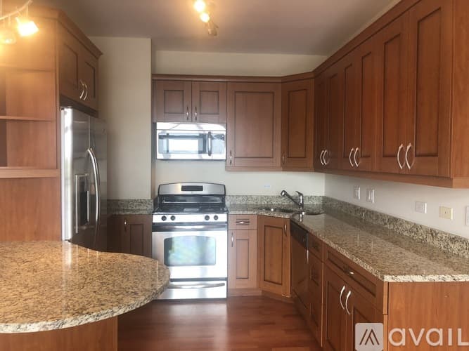 Chicago Apartment: 1444 W Morse Ave