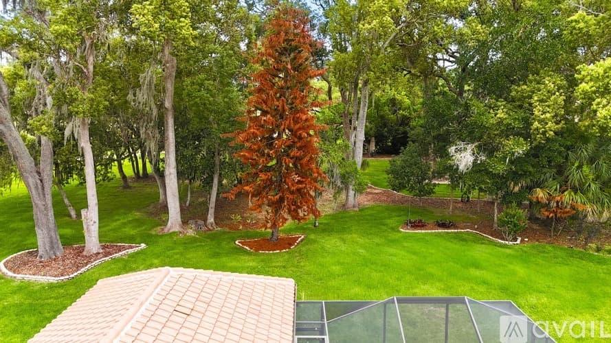 Dade City House: 12649 Oak Hollow Ct