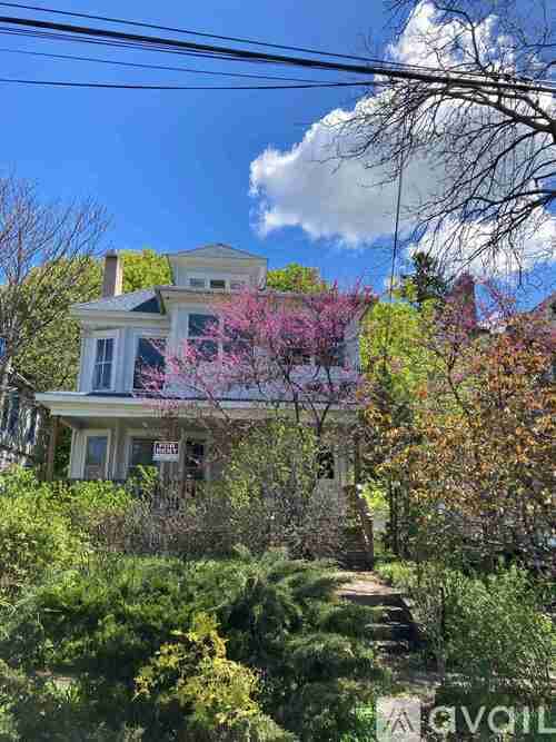Syracuse Apartment: 735 Allen St