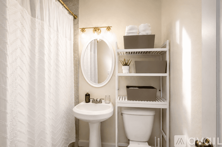 St. Petersburg Apartment: 1110 8th St N