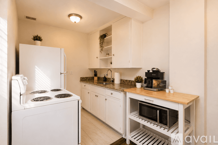 St. Petersburg Apartment: 1110 8th St N