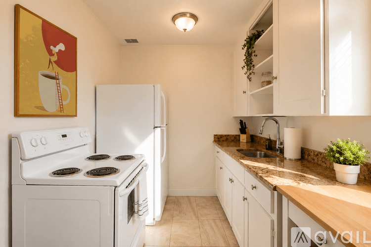 St. Petersburg Apartment: 1110 8th St N