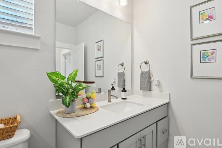 Arlington Townhome: 3151 Winter Rose Parkway