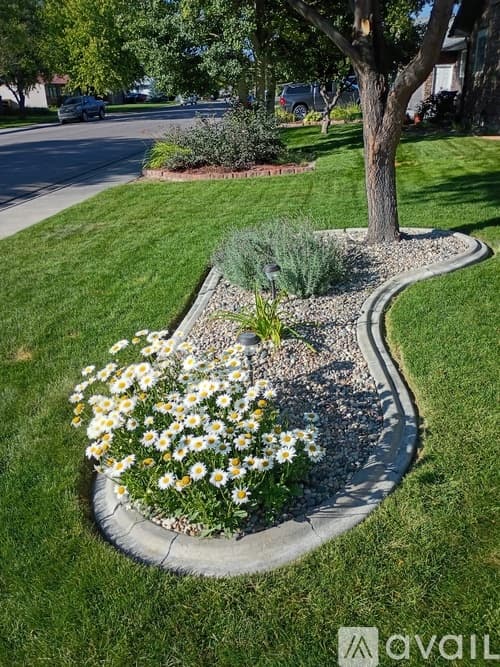Idaho Falls House: 725 Dickson Avenue