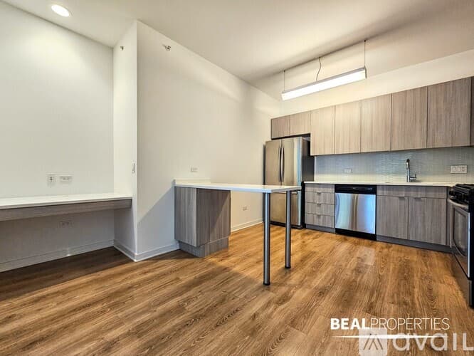 Chicago Apartment: 558 W Webster Ave