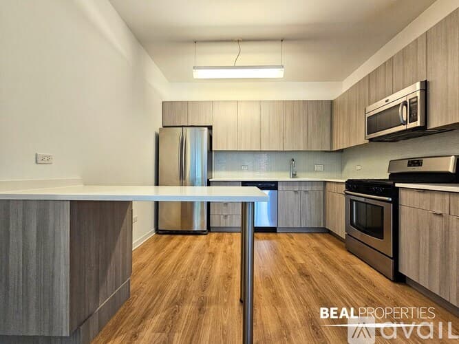 Chicago Apartment: 558 W Webster Ave