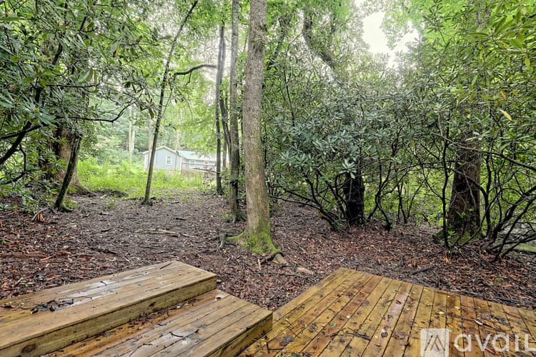 Rabun Gap House: 243 Ov Justus Rd