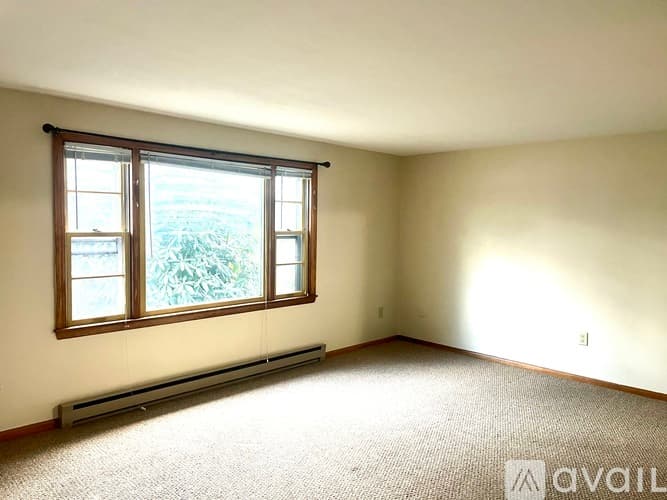 Webster Apartment: 60 Slater St