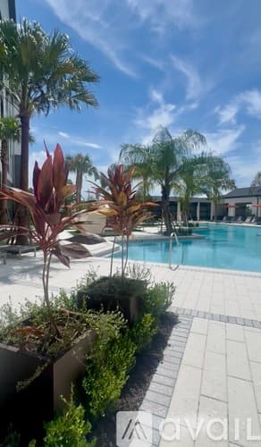 Tampa Apartment: 12676 Everline Pl