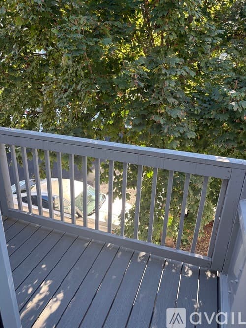 New Haven Apartment: 56 Vernon Street